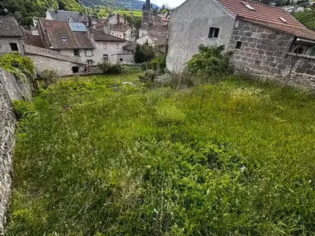 location jardin pour potager