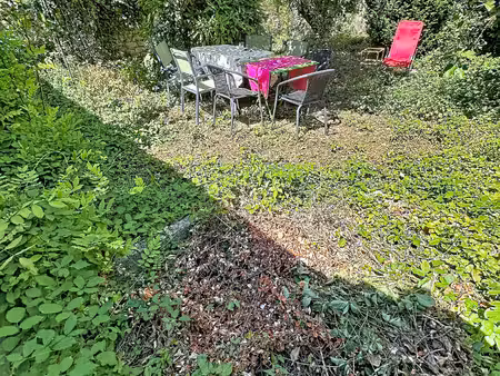 nancy poincaré anatole france immeuble 163 m² jardin clos et cachet de l'ancien