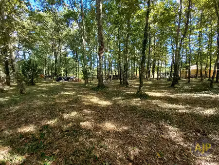 terrain à bâtir de 933 m² à 5 min de lesparre !