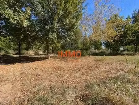 terrain constructible
