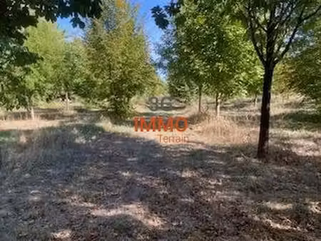 terrain constructible