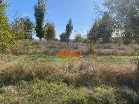 terrain constructible