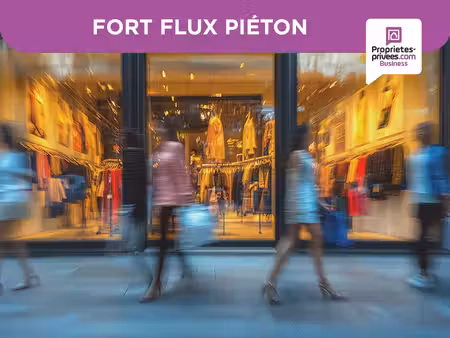 location commerce paris 75012 55m²