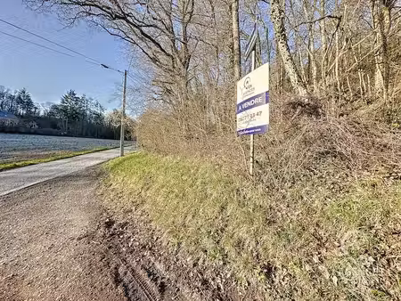 terrain agréable dans la forêt de dion