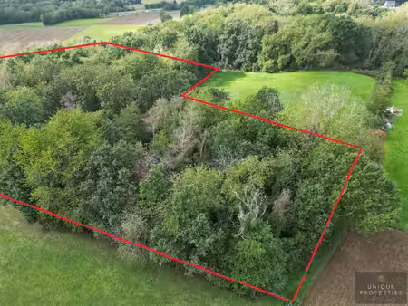 welkom thuis bij unique properties immobiliën