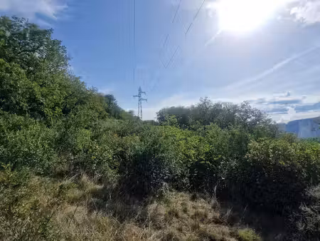 parcelle de terrain en friche de nature bois d'une superficie d'