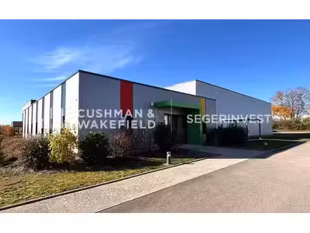 location local d’activités 943m²