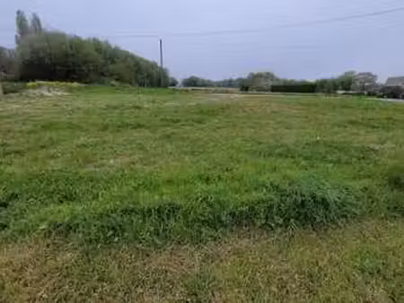 vente terrain à cancale (35260) : à vendre / cancale