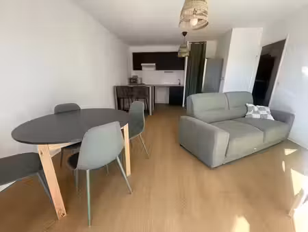 location appartement 2 pièces 46m2 billère 64140 - 630 € - surface privée
