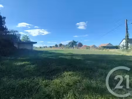 vente terrain à batir 4295 m² à neuvy-saint-sépulchre (36230)  32 000 €