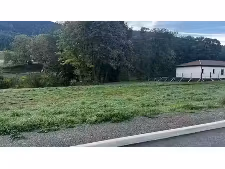 vente terrain 346 m² à bourg-argental (42220)  47 000 €