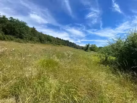 vente terrain 2000 m² à saint-andré-d'allas (24200)  40 000 €