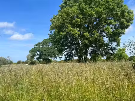 vente terrain 966 m² à pendé (80230)  44 500 €