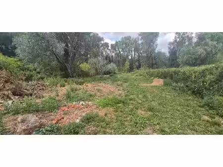 terrain
