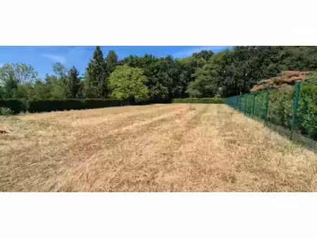 terrain
