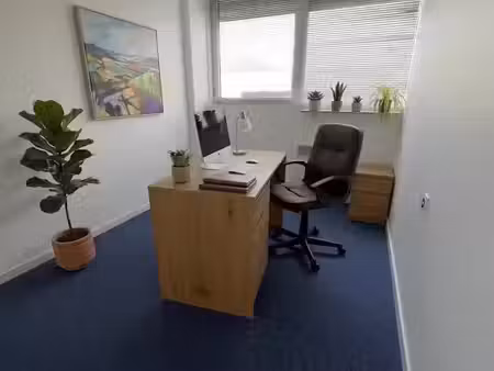 location locaux professionnels 1 pièce 10 m² à strasbourg (67000)  290 €