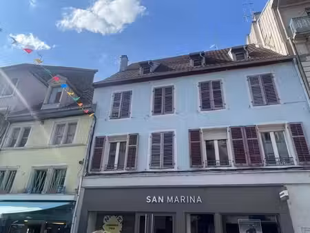 maison de 22 pièces de luxe en vente à montbéliard  bourgogne-franche-comté
