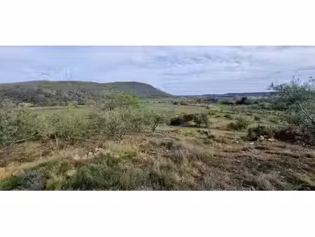 terrain agricole et de loisir de 20600 m2