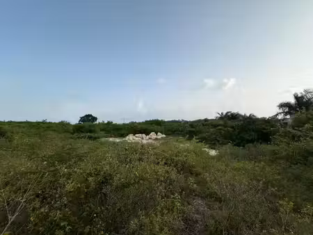 achat terrain 1 137m² st francois 97118