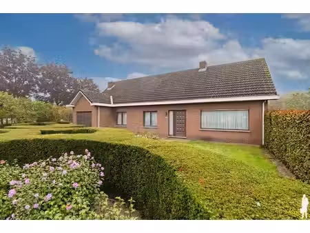 huis te koop in hoogstraten met 3 slaapkamers