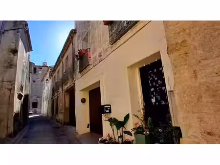 achat : maison (34480)