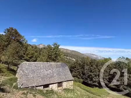 maison à vendre - 1 pièce - 99 22 m2 - arrens marsous - 65 - midi-pyrenees