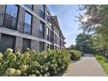appartement te huur in beveren met 2 slaapkamers