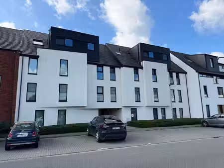 appartement te huur in puurs met 2 slaapkamers