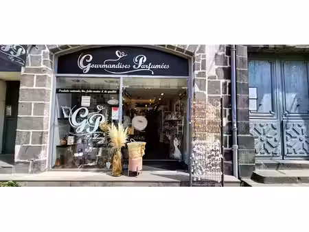 vente locaux professionnels 2 pièces 95 m² à riom (63200)  55 000 €