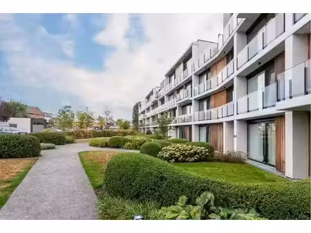 appartement à vendre à prosper van raemdonckstraat 33 beveren (rbw92459)