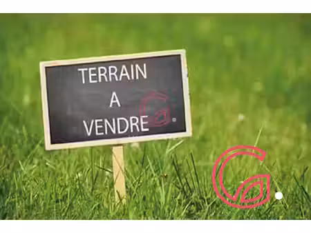 terrain parentis en born 1084m2