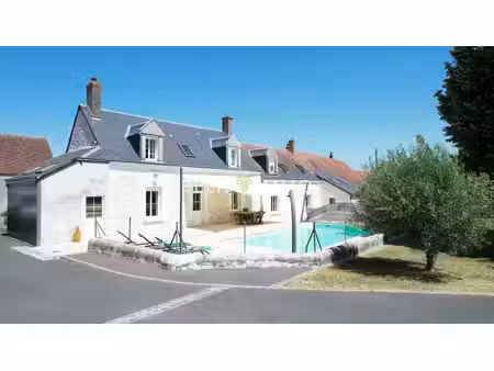 vente maison 11 pièces 265 m² bléré (37150)