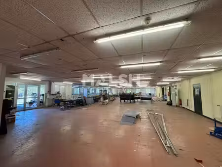 vente local d’activités saint galmier 42330 262m² à 2755m²