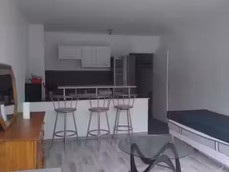 location appartement 1 pièce 35 m² à nancy (54000)