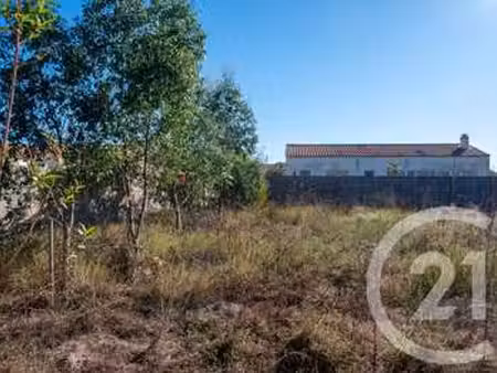 vente terrain à l'île-d'olonne (85340) : à vendre / 316m² l'île-d'olonne
