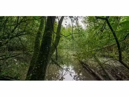 terrain de loisirs à vendre à lille pour € 69.000
