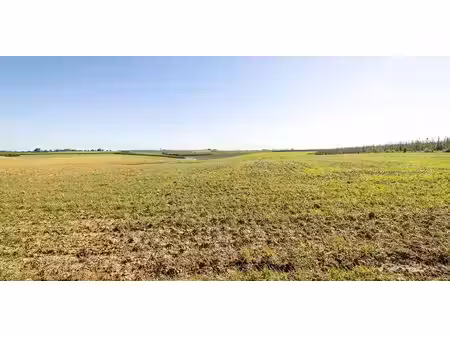landbouwgrond