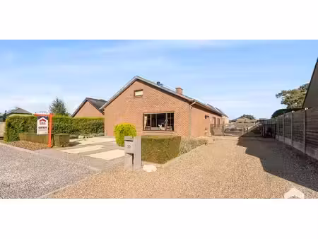 sous option - maison à vendre à kaulille avec 3 chambres à coucher