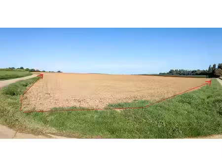 groot perceel landbouwgrond