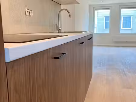 superbe appartement rénové à louer