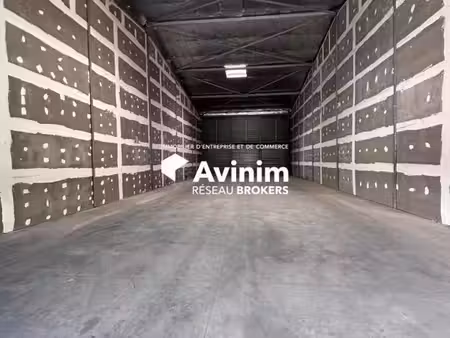 location entrepôt les abymes 97139 300m²
