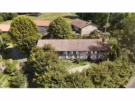 vente maison 14 pièces 268 m² baffie (63600)