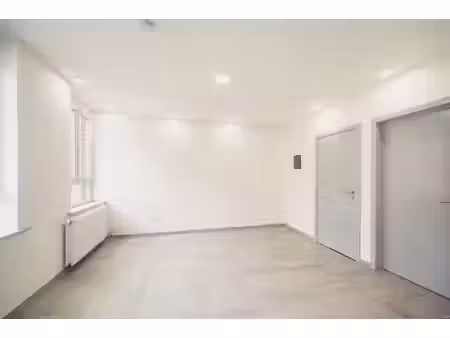 bel appartement 1 chambre fraichement rénové !