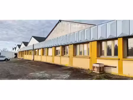 vente locaux professionnels 0 pièces à hagetmau (40700)  550 000 €