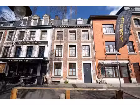 magnifique maison de ville sur les quais