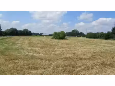 terrain en zone d'habitat