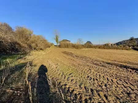 terrain