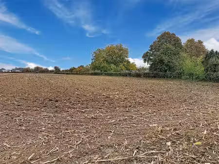 terrain