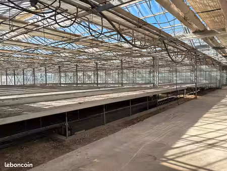 a louer - module horticole professionnel équipé - 34400 lunel