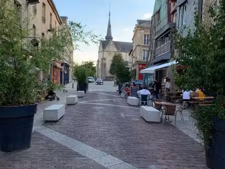 studio 43m2 + cave : plein centre ville